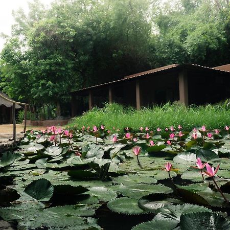 Hampi'S Whiskers Resort Exterior foto