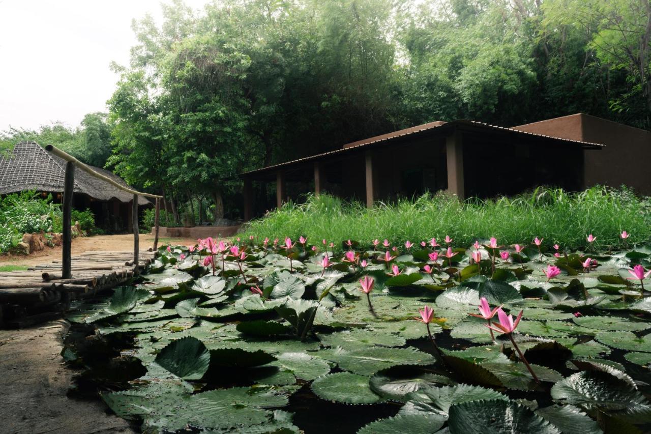 Hampi'S Whiskers Resort Exterior foto